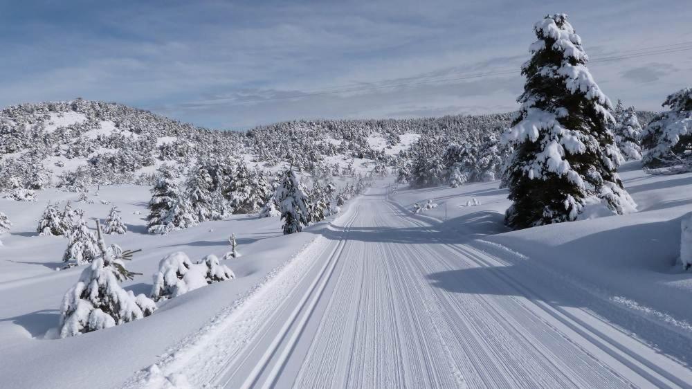 Greolieres Les Neiges Apartment Bagian luar foto